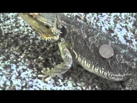 Marcy is in mission impossible