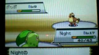 Breaktube & Doctorken2k Imported Pokemon Heart Gold ( Falkner )