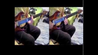 Timo Rautiainen ja Trio Niskalaukaus - Alavilla Mailla // guitar cover