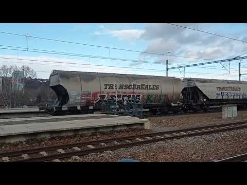 Cargo & Traffic locomotives in Czech Republic