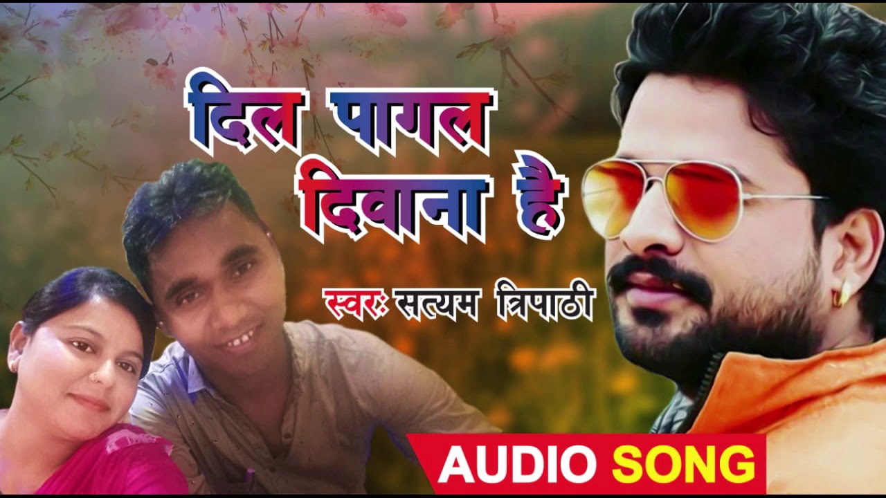 Dil pagal deewana hai | Cover song | Satyam Tripathi