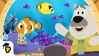 Learn all about sea life | Learn about animals | Dr. Panda TotoTime | Kids Learning Video