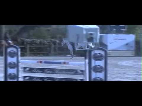 Cyrius 1.30m  's Gravenwezel