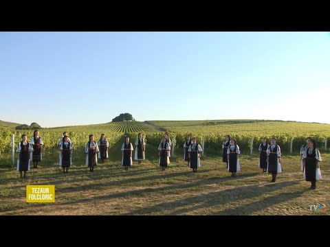 Fetele de la Ansamblul Folcloric „Jidvei Romania” – Vino, dragă primăvară (@Tezaur folcloric)