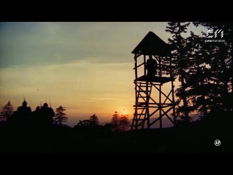 ULTIMA NOAPTE DE DRAGOSTE (1979) [ FULL HD ]