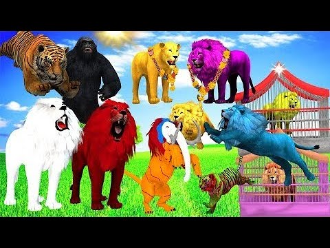 Learn Animals Names: Cat, Fish, Dog, Cow - Learn Family Animals
