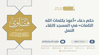حكم دعاء "أعوذ بكلمات الله التامات" في المسجد لاتقاء النمل  - الشيخ عبدالرحمن البراك (9713) image