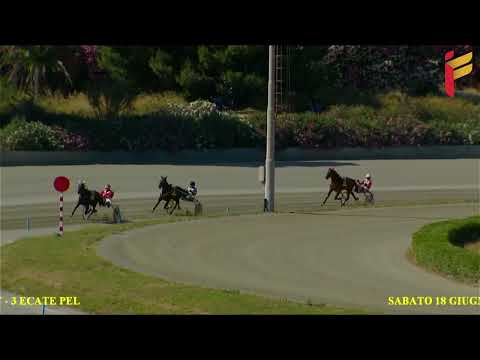 Prova di qualifica del 18 Giugno 2022 - 2 Anni - Metri 1600