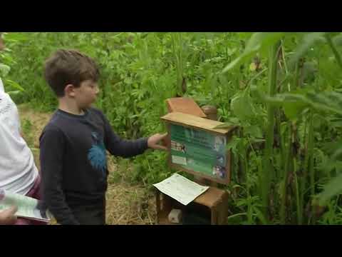 Прев'ю відео