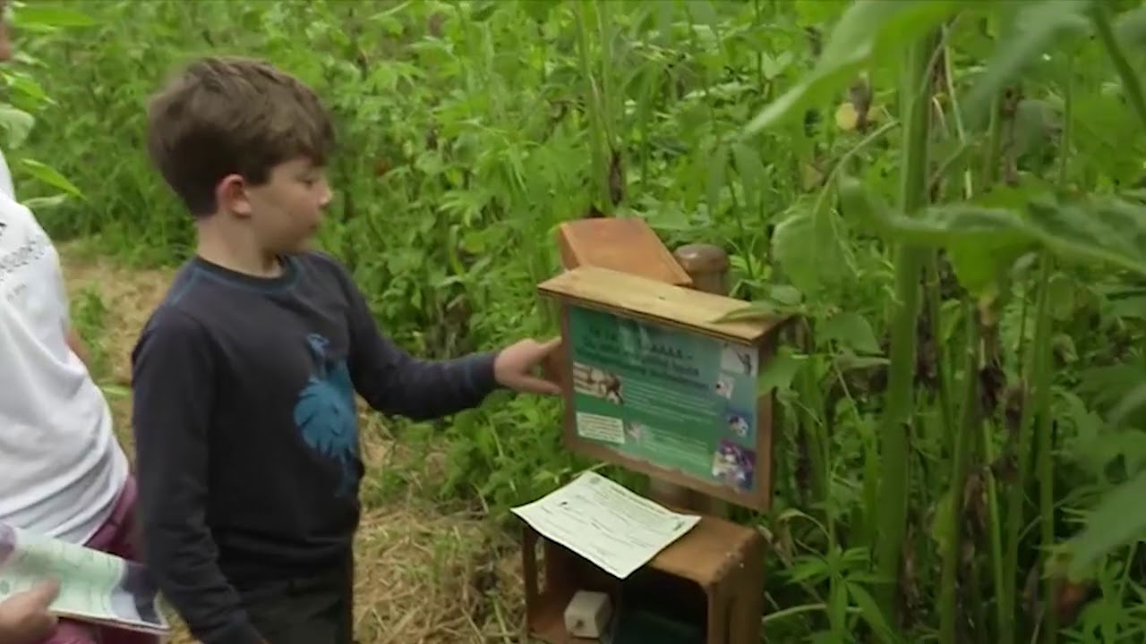 Прев'ю відео
