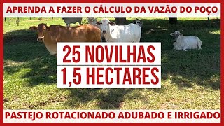 PROJETO de PASTEJO ROTACIONADO ADUBADO E IRRIGADO - 25 NOVILHAS DE RECRIA EM 1,5 HECTARES