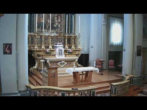 SANTA MESSA - VIII DOMENICA DEL TEMPO ORDINARIO - 2022/02/27, h. 11:15