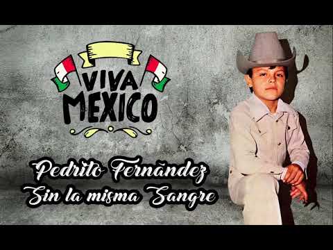 Pedrito Fernández - Sin La Misma Sangre