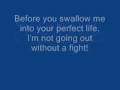 Rise Against - Last Chance Blueprint (with lyrics)