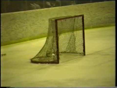 1993 C-junnujen SM-finaali TPS-Jokerit