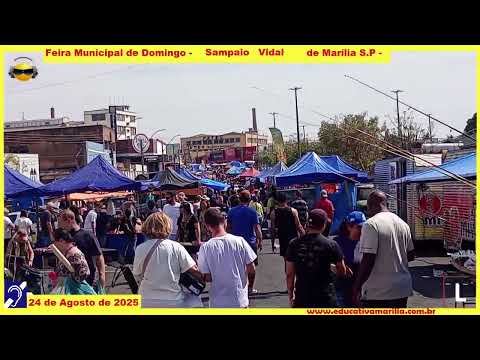 Tv Educativa passeia pela Feira Municipal da Avenida Sampaio Vidal de Marília SP 25 Agosto de 2.025