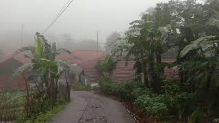 HUJAN di pagi hari membuat desaku menjadi desa di balik kabut.