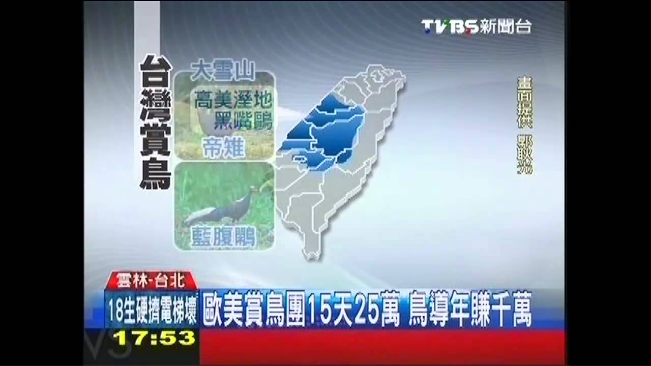 〈獨家〉歐美賞鳥團15天25萬　鳥導年賺千萬