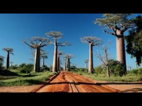 AZA FATRA-PIHEVITRA NY RIVOTRA