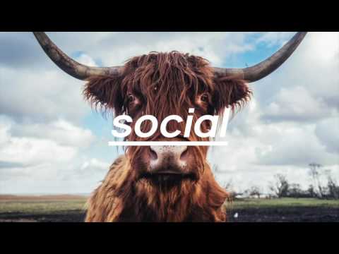 Fatnotronic & In Flagranti - Botoque