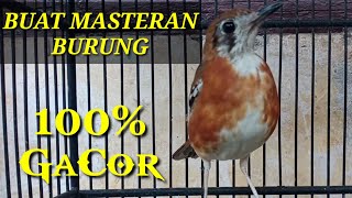 Download lagu pancingan Anis Cendana macet malas bunyi pasti nyaut. mp3 Download lagu pancingan Anis Cendana macet malas bunyi pasti nyaut. mp3