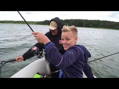 Barsche im Hochsommer!☀️