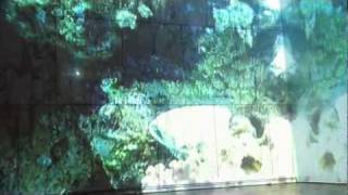 Pipilotti Rist Milano parasimpatico I'm a victim of this song