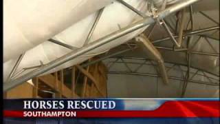 preview picture of video 'Horses rescued after roof collapse'