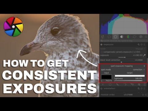Darktable | How to get consistent exposures