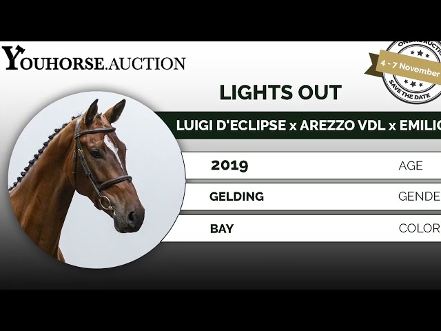 Lights Out Z