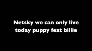 Luxe radio - Netsky we can only live today puppy feat billie