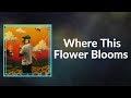 The Creator Where This Flower Blooms Lyrics Feat Frank Ocean