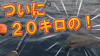 宮崎県南郷沖でジギングしていたら とんでもない大物が！水面に上がってきた！