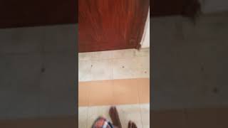 How to open a door