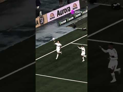 A BOLA DO ARRASCAETA É UMA SACANAGEM, E GOL DE CENTROAVANTE DO PEDRO CONTRA O VASCO #shorts