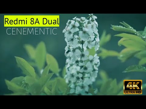 Redmi 8A Dual//Cenementic 4K Camera Test