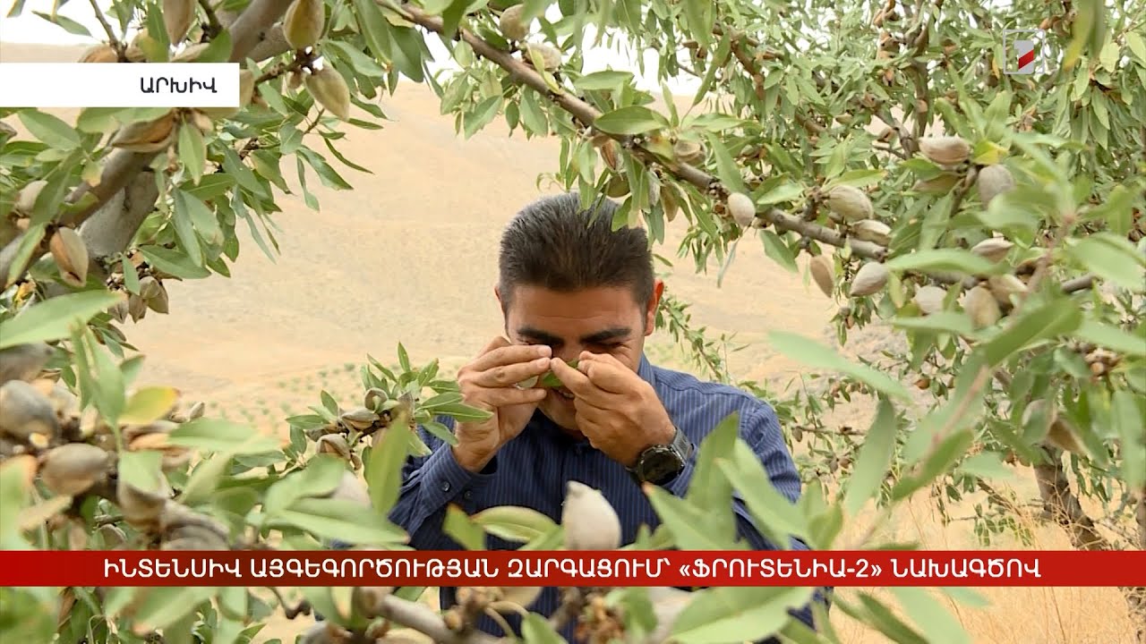 Ինտենսիվ պտղատու և խաղողի այգիների հիմնում՝ ՖՐՈՒՏԵՆԻԱ-2 նախագծով