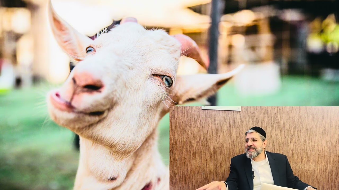 הרב אבישי לוי : מדבר שקר תרחק 