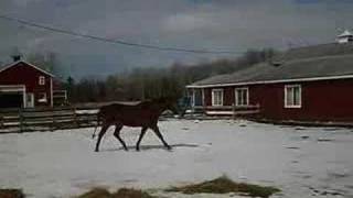 Karmas move to Coyote Bill&#39;s Ranch