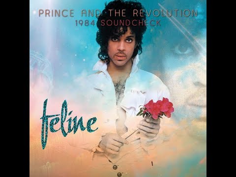 Prince & The Revolution 