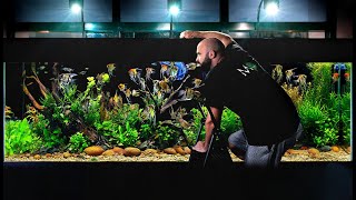 I Added Over 100 FISH into My Huge Ecosystem Aquarium