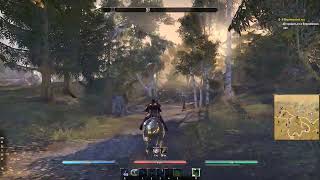 Elder Scrolls  Online - В Вернимский лес