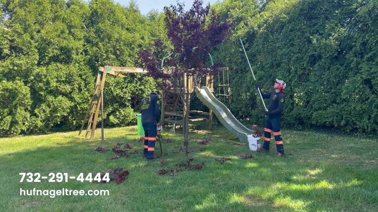 Tree PROS Offer NEXT-LEVEL Service! Hufnagel Tree Service | Middletown, NJ
