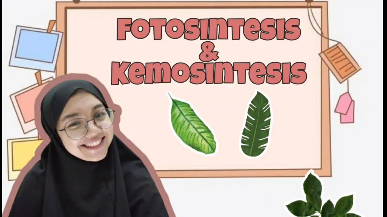 MATERI FOTOSINTESIS DAN KEMOSINTESIS UNTUK KELAS XII