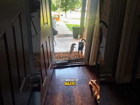 Major Wasn’t Falling For It!