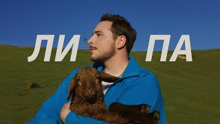 Липа (Lypa) Lyrics English Translation