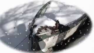 "Greenland Whale Fisheries" Fan Video