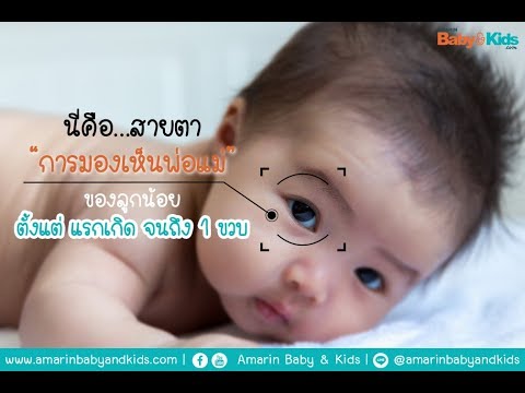 พลาสติกบนกิ่งไม้ ยาเพิ่มขนาดอวัยวะเพศชาย