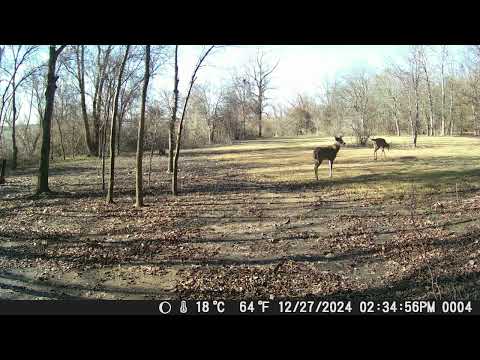 8 POINT BUCKS LAKE LAVON