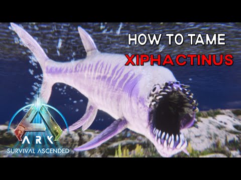 Ark Survival Ascended | How To Tame XIPHACTINUS (ARK Addition)